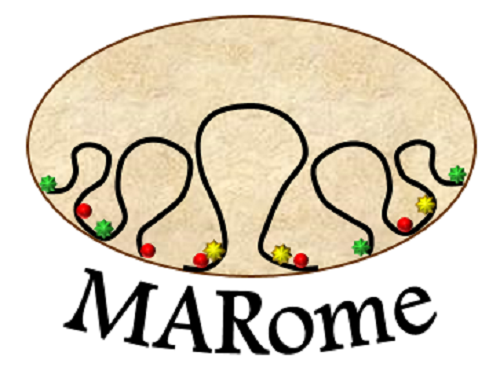 MARome
